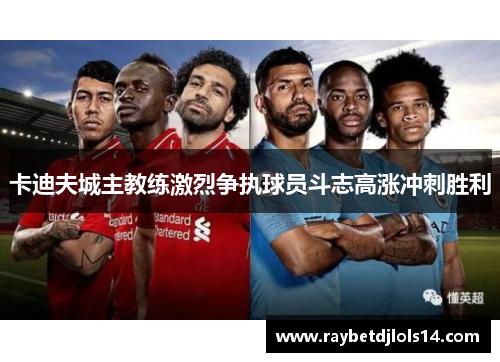 卡迪夫城主教练激烈争执球员斗志高涨冲刺胜利