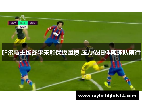 帕尔马主场战平未解保级困境 压力依旧伴随球队前行